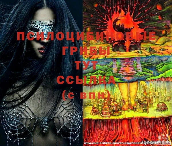 стаф Бронницы