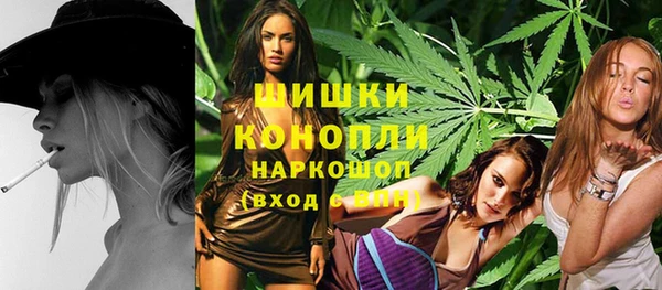стаф Бронницы