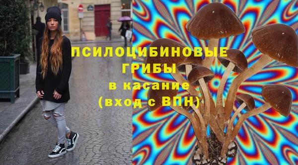 мескалин Верхний Тагил