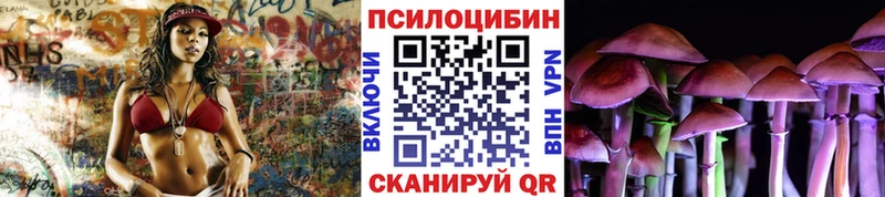 кракен онион Карасук Псилоцибиновые грибы MAGIC MUSHROOMS